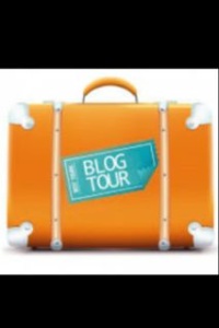 blog tour